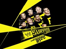 Survivor Series 2010 Poster